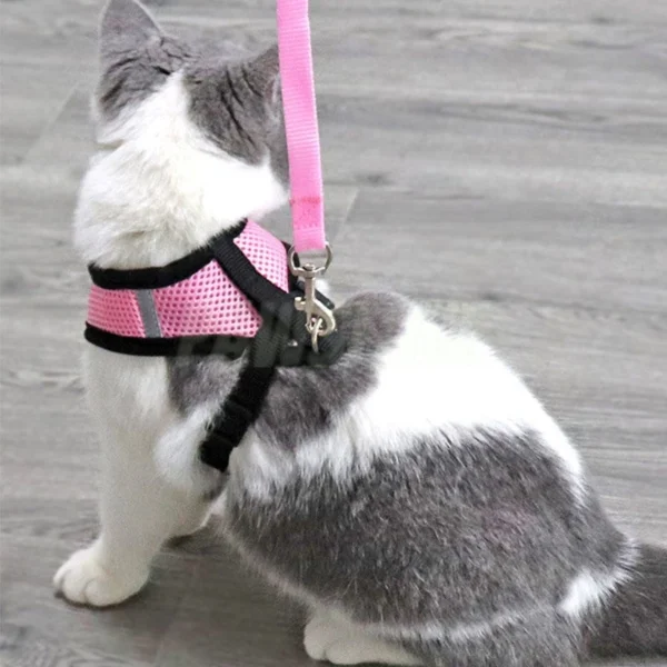 Random Cat Vest Harness with Leash