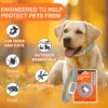 cn-11134207-7r98o-lxtdcxv5grvndb.webp Random PUAINTA Pet Flea Tick Collar