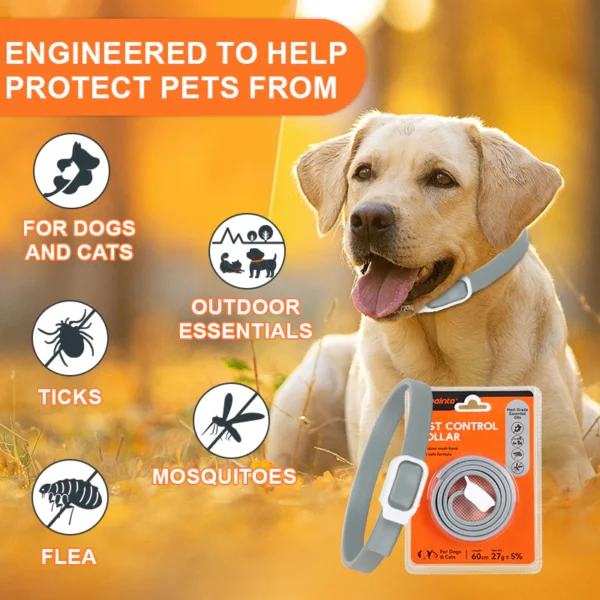 cn-11134207-7r98o-lxtdcxv5grvndb.webp Random PUAINTA Pet Flea Tick Collar
