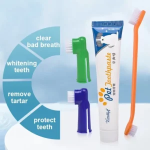 cn-11134207-7r98o-lzua06zlxpwzb0.webp Pet Toothbrush Toothpaste Set