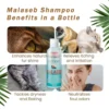 cn-11134207-7r98o-m01gb9qd885q5e.webp Dermcare Malaseb Medicated Shampoo