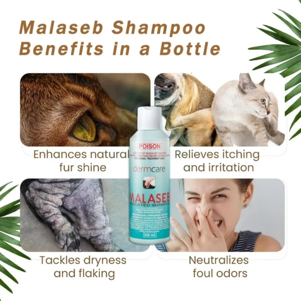 cn-11134207-7r98o-m01gb9qd885q5e.webp Dermcare Malaseb Medicated Shampoo