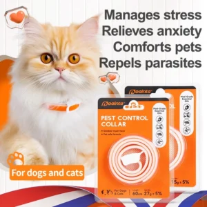 cn-11134207-7ras8-m7up4z6wrvz329.webp Random PUAINTA Pet Flea Tick Collar