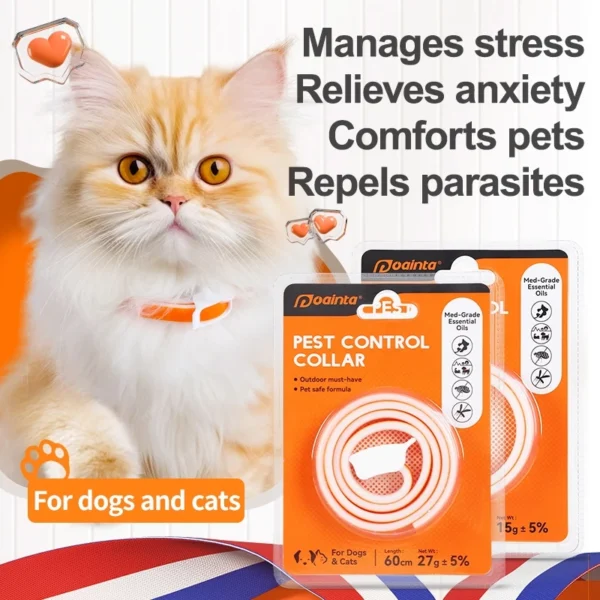 cn-11134207-7ras8-m7up4z6wrvz329.webp Random PUAINTA Pet Flea Tick Collar