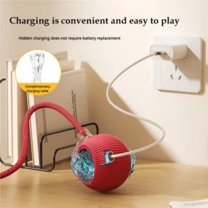 cn-11134207-7ras8-mbqbkjwevmffd3.webp Interactive Rechargeable Cat Ball