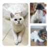 cn-11134207-7ras8-mcq5ttjp8jd718.webp Pet Wedding Tuxedo Dress