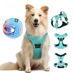 cn-11134207-820l4-mesqmzf4o6pt8e.webp Random Anti Pull Dog Harness AirTag Slot