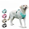 cn-11134207-820l4-mesqn4nd76ys14.webp Random Anti Pull Dog Harness AirTag Slot