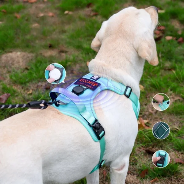 cn-11134207-820l4-mesqwfvshoud37.webp Random Anti Pull Dog Harness AirTag Slot