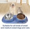 my-11134207-7rasb-mb3q7m1gv7ai05.webp Random Anti Ant Stainless Steel Pet Bowl