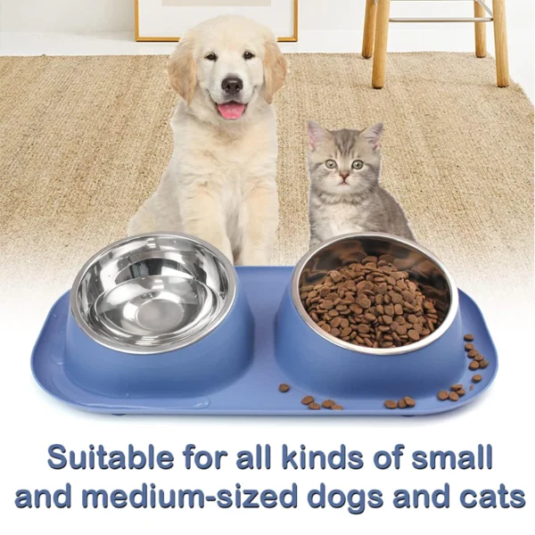 my-11134207-7rasb-mb3q7m1gv7ai05.webp Random Anti Ant Stainless Steel Pet Bowl