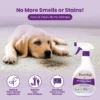 my-11134207-7rash-mcbwuifpcpgt6e.webp PawPal Pet Stain Odour Remover