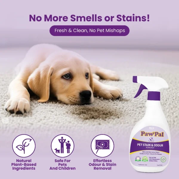 my-11134207-7rash-mcbwuifpcpgt6e.webp PawPal Pet Stain Odour Remover