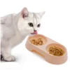 my-11134207-7rasl-mcc9dx0illsb78.webp Random Double Pet Feeding Bowl