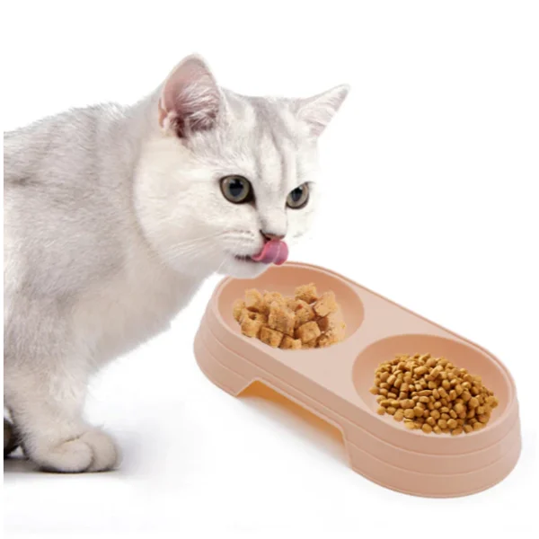 my-11134207-7rasl-mcc9dx0illsb78.webp Random Double Pet Feeding Bowl