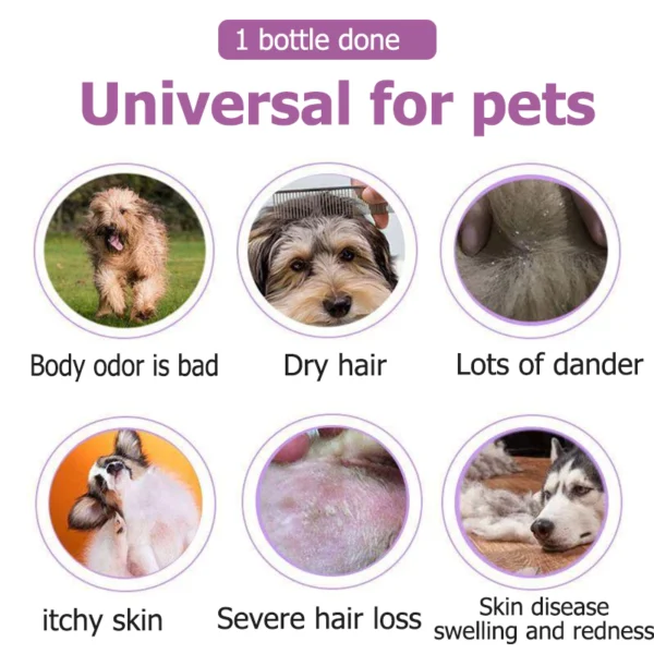 my-11134207-820l4-mghcgt7s1jbg8d.webp ROYZEN Pet Shampoo 300ml