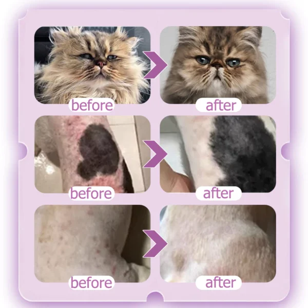 my-11134207-820lb-mghcgt6iqpzeca.webp ROYZEN Pet Shampoo 300ml
