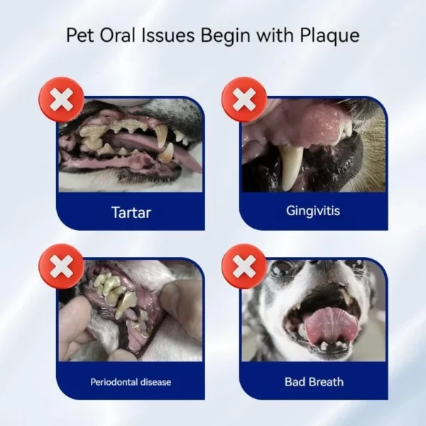 sg-11134201-7rauw-ma2avrbxf6huac.webp PetClear Pet Toothpaste