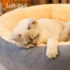 sg-11134201-7rbn5-m5cs214ow1zrac.webp Random Large Washable Oval Pet Bed