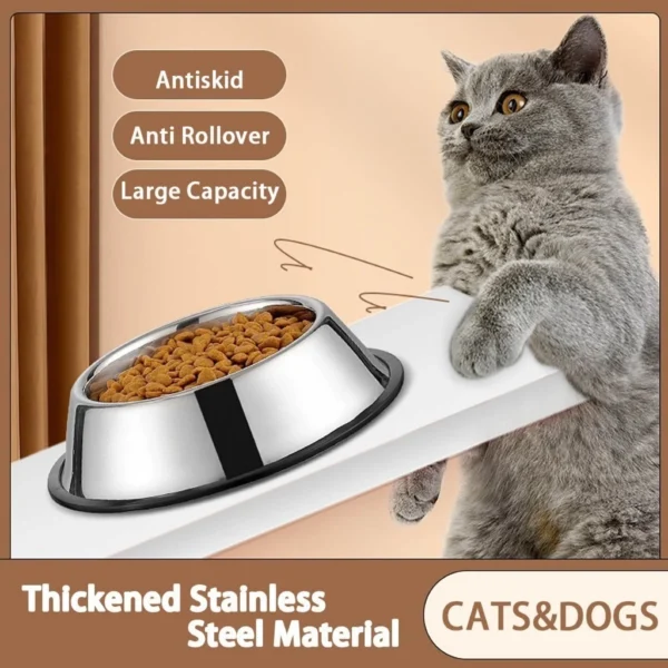 sg-11134201-7rcea-ltxhz37v8kbdfe.webp Stainless Steel Pet Bowl