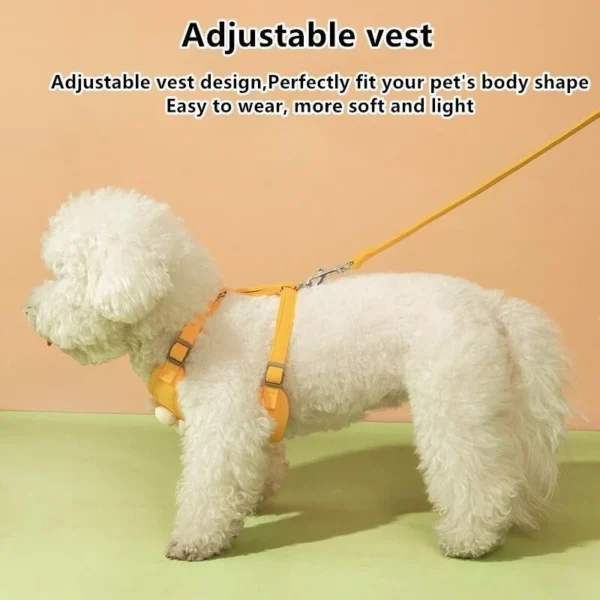 Pet Harness Leash Set