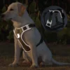 sg-11134201-7rdxv-mbufbsfmqtcs72.webp Random Reflective Big Dog Harness