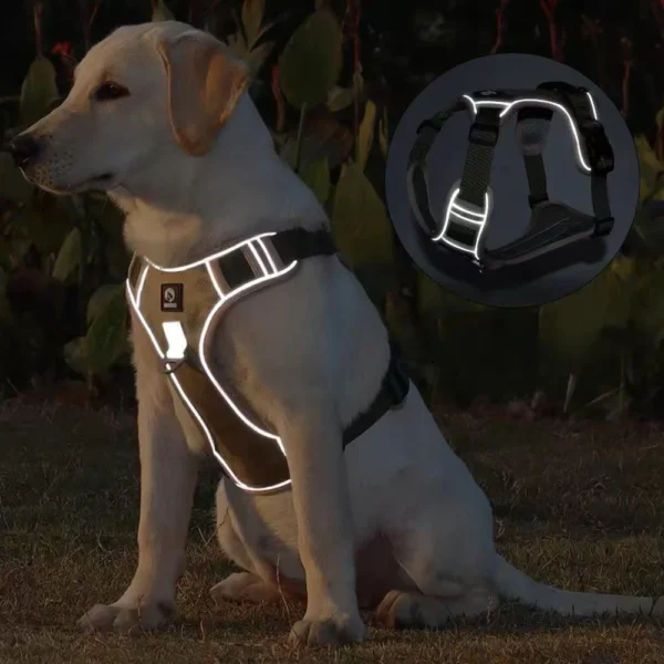 sg-11134201-7rdxv-mbufbsfmqtcs72.webp Random Reflective Big Dog Harness