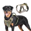 sg-11134201-7repz-m8vj14oemxt39d.webp Random Reflective Big Dog Harness