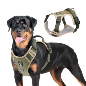 sg-11134201-7repz-m8vj14oemxt39d.webp Random Reflective Big Dog Harness