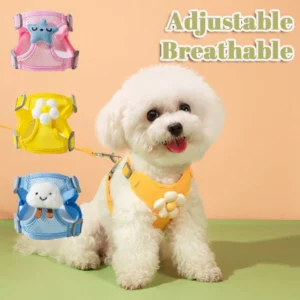 sg-11134201-7rfgi-m9h3jqmpyv4le4.webp Pet Harness Leash Set