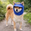 sg-11134301-822z0-modnmr3w3vv3a0.webp Dog Sun Protection Hat