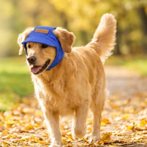 sg-11134301-822zl-modnmrgymrrhab.webp Dog Sun Protection Hat